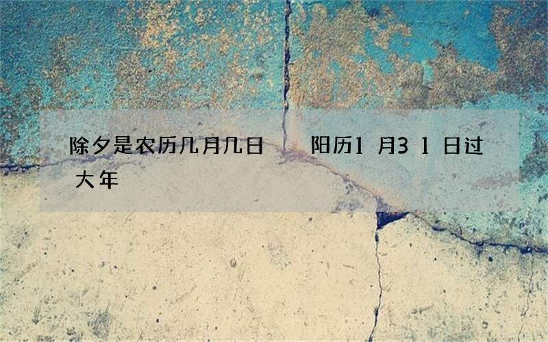 除夕是农历几月几日  阳历1月31日过大年